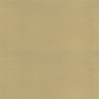 Granorte Corium Калабрия ваниль 610х388