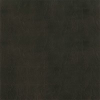 Granorte Corium Умбрия неро 388х388