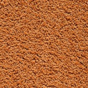 Balta Broadloom EUPHORIA 125