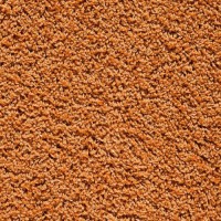 Balta Broadloom EUPHORIA 125