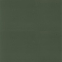 Granorte Corium Калабрия верде 388х388