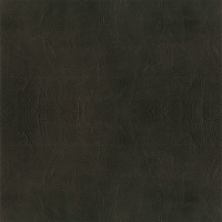 Granorte Corium Умбрия неро 910х194