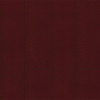Granorte Corium Пьемонте вино 910х194