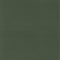 Granorte Corium Калабрия верде 610х388