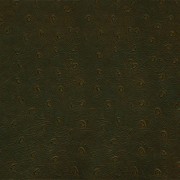 Granorte Corium Пьемонте кава 388х388