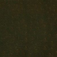 Granorte Corium Пьемонте кава 388х388