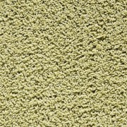 Balta Broadloom EUPHORIA 415
