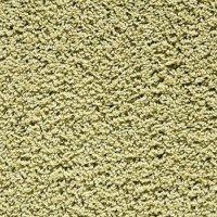 Balta Broadloom EUPHORIA 415