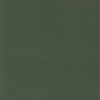 Granorte Corium Калабрия верде 910х194