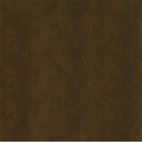Granorte Corium Умбрия сепия 610х388