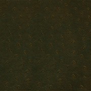 Granorte Corium Пьемонте кава 610х388