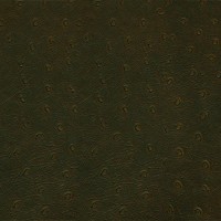 Granorte Corium Пьемонте кава 610х388