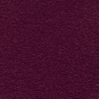 Associated Weavers Scorpius 10