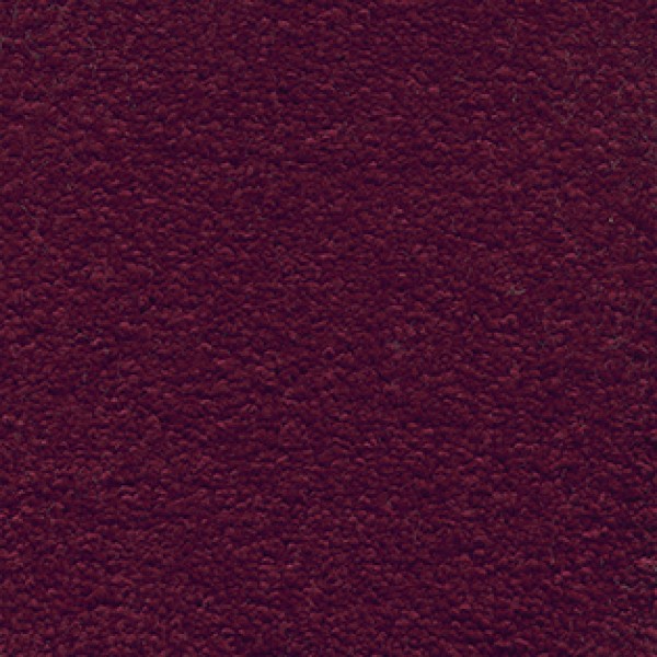 Associated Weavers Scorpius 10
