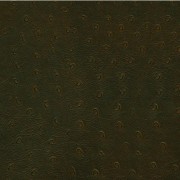 Granorte Corium Пьемонте кава 910х194