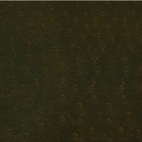 Granorte Corium Пьемонте кава 910х194