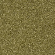 Associated Weavers Scorpius 21