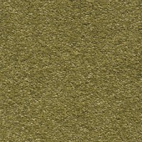 Associated Weavers Scorpius 21