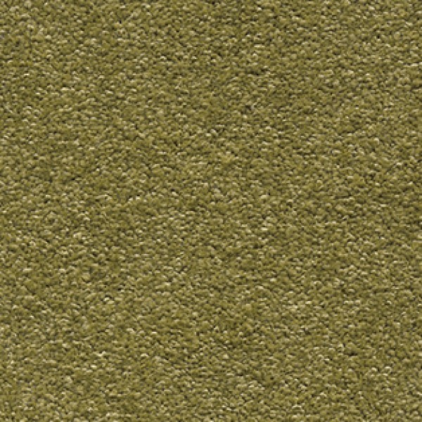 Associated Weavers Scorpius 21