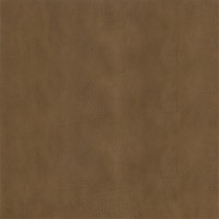 Granorte Corium Калабрия каннела 910х194